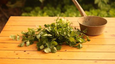 garnishing-instructions-image